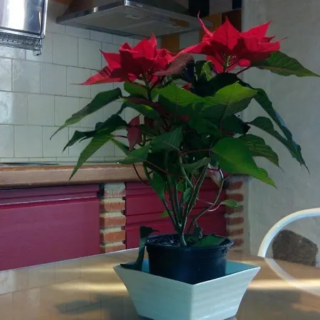 Ferienhaus La Herrera Ll