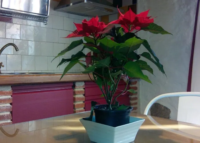 בית נופש La Herrera Ll